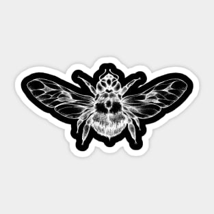 WINGED SPIRIT Sticker